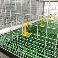 Équipement Automatique d'Élevage de Poulets Fabricants de Cages Verticales Galvanisées Approvisionnement Direct sur Stock