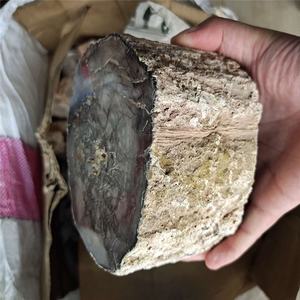 ไม้ฟอสซิลทรงกระบอกขัดเงาธรรมชาติ ขายส่ง หินไม้ฟอสซิลหยาบ ไม้กลายเป็นหิน - Product Image 5