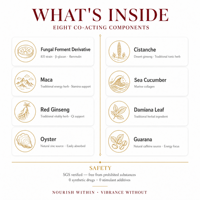 Complexe multi-extrait liquide oral, mélange botanique et marin avec ginseng rouge, maca, huître et concombre de mer