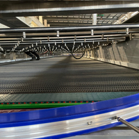 Pasteurisateur tunnel pour canettes, machine de pasteurisation, pasteurisateur de jus