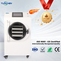 Liofilizador Doméstico con Calentamiento Eléctrico para Procesamiento de Alimentos, Frutas y Café, Bomba PLC Automática de Alta Eficiencia, Lote de 2-3 kg