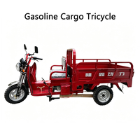 Mini moto à 3 roues de 150 cm3 avec moteur Loncin, 2 places, tricycle personnalisable pour la livraison de petites marchandises