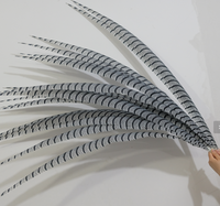 Plumas Sintéticas de Faisán Lady Amherst para Disfraces de Carnaval y Samba, de 60-160 cm