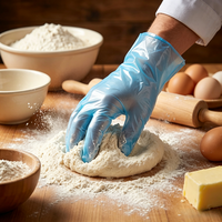 Gants jetables en TPE sans poudre pour la coloration des cheveux et la préparation des aliments