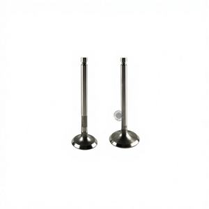 Wholesale RGX2400 Intake and Exhaust Valves 167F <b>Engine</b> <b>Mounting</b> for Gasoline Generator Parts-EY20 New 1 Year Warranty - Product Image 5