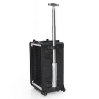 Rack standard de 19 pouces, capacité de 6 amplificateurs, profondeur de 39 cm, peut être équipé de tiroirs, avec roulettes et barre de traction