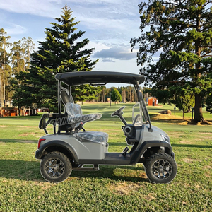 Carrito de Golf Eléctrico de 2 Plazas en Oferta, Carro de Club para Adultos, Homologado para Circular por la Calle, 48V, Certificado por la CEE - Product Image 3