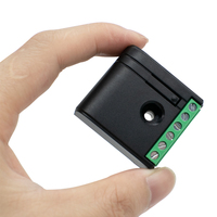Module récepteur de relais sans fil 1 canal 433,92 MHz avec télécommande pour éclairage LED, moteur et portail (12V/24V DC)