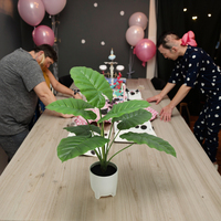 Décoration intérieure : Vigne artificielle en rotin, fausse vigne de lierre, vigne suspendue, support de téléphone en plastique acrylique, pour anniversaire