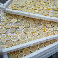 Fabrieksdirect multifunctionele automatische ananasdroogmachine, fruitdehydrator, ananasdroger