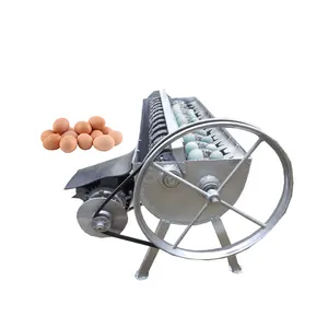 Practical Boiled Quail Egg Process Peeler Automatic Egg Peeling Machine