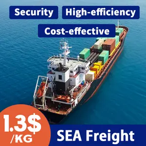 从中国到阿联酋最便宜的海运DDP到迪拜海运到阿联酋海运代理