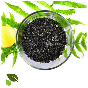 Vendita calda Bio acido umico fertilizzante in polvere agricoltura organica - Product Image 5