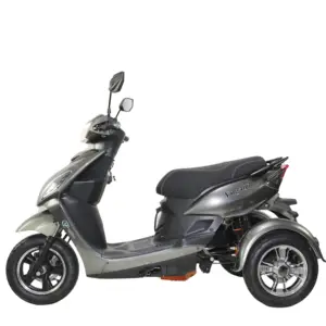 3-Wheel Adult Powerful Mobility Scooter Moped Electric Motorcycle