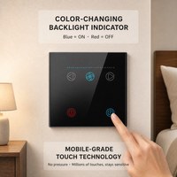Interrupteur intelligent personnalisé pour le contrôle de la vitesse du ventilateur et de l'éclairage, tout-en-un, 2 gangs, télécommande, panneau tactile, capteur WiFi, Alexa Smart Life