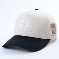 Casquette de baseball personnalisée à 5 panneaux avec logo brodé et patch tissé, casquette de golf de tons différents, casquettes de baseball à bord incurvé