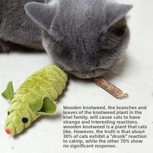 <span class=keywords><strong>Jouet</strong></span> pour chat : Petite souris en bois et coton-lin, avec herbe à chat et corde élastique, <span class=keywords><strong>jouet</strong></span> à mâcher en peluche, livré en sac transparent – Idéal pour le dropshipping - Product Image 5