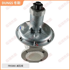 Vannes de régulation de pression DUNGS FRS510 FRS520 FRS5065, stabilisateurs de pression pour brûleurs à gaz, vannes de réduction - Product Image 2