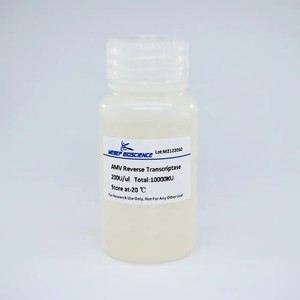Tinzyme mmlv Reverse transcriptase nhiệt ổn định RNA-Phụ thuộc DNA polymerase vẫn 100% hoạt động ở 50 - Product Image 3
