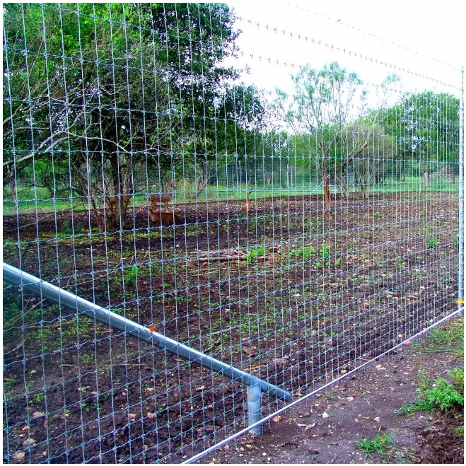 Galvanized Fixed Knot Wire Mesh Farm Fence For Deer Cattle Horse