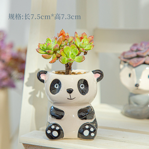 Hete Verkoop Keramische Dierlijke Bloempotten Keramische Fox Panda Geit Zebra Koe Olifant Vorm Bonsai Pot <span class=keywords><strong>Planter</strong></span> - Product Image 6