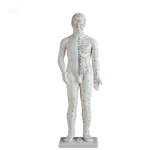 แบบจำลองเส้นลมปราณสำหรับ<span class=keywords><strong>สอน</strong></span><span class=keywords><strong>ภาษา</strong></span>อังกฤษ ขนาด 70 ซม. แบบจำลองร่างกายมนุษย์พร้อมจุดฝังเข็ม - Product Image 1