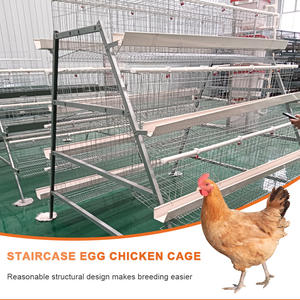 กรงเลี้ยงไก่แบบ A-Type สำหรับใช้ในฟาร์มกรงเลี้ยงไก่อุปกรณ์ชั้น - Product Image 3