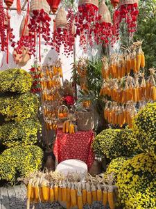 Maïs séché naturel, un choix parfait pour la décoration de la ferme, les décorations de vacances ou le style rustique de mariage et d'événement. - Product Image 3