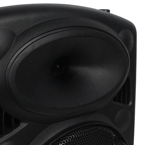 Chất lượng cao 8 inch di động khuếch đại Xe đẩy xách tay BT khuếch đại Loa với pin - Product Image 4