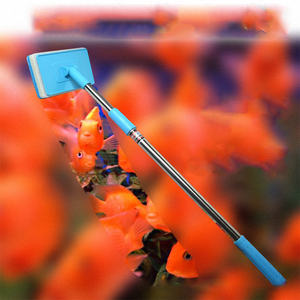 Accessoires d'<span class=keywords><strong>aquarium</strong></span> Ensemble de nettoyage pour <span class=keywords><strong>aquarium</strong></span> Brosse de nettoyage rétractable pour attraper des poissons et des <span class=keywords><strong>algues</strong></span> Brosse de nettoyage pour vitres - Product Image 4