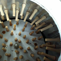 Machine à Plumer la Volaille pour Abattage et Transformation de la Viande