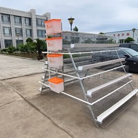 Système de cages à poulets de type A galvanisé à chaud pour l'élevage de poulets de chair – Équipement d'élevage avicole – Vente en gros fabricant