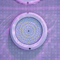 Penjualan terlaris harga pabrik IP68 tahan air 12V lampu kolam LED pengendali jarak jauh warna-warni 5000K cahaya siang hari kecerahan tinggi kecil