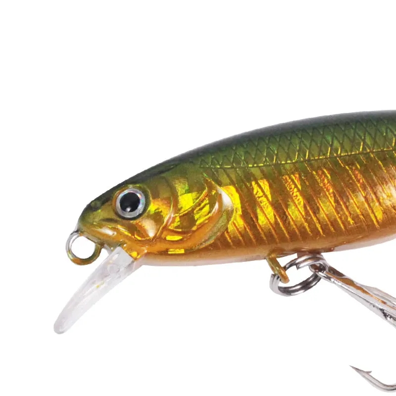 burle fishing lures Burle Fishing Hard Minnow Lure with 3D Eyes & Built-In Steel Ball Noise for  Bass, Salmon, and More