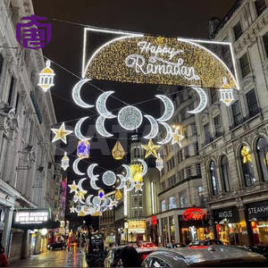 Luz Decorativa Personalizada para Calle, IP65, para Exteriores, con Motivos Festivos, para Navidad y Celebraciones - Product Image 3