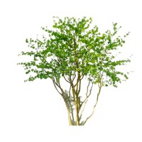 Arbre artificiel suspendu en forme de cloche, verdure décorative pour aménagement paysager, idéal pour les vitrines de magasins, centres commerciaux, hôtels et expositions