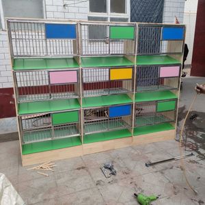 Gabbia di allevamento piccione in legno di alta qualità in acciaio inox accessori per piccioni - Product Image 6