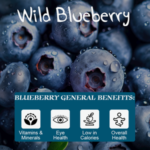 Poudre d'extrait de myrtille biologique OEM/ODM très vendue, poudre de fruits 100 % naturelle pour boissons, smoothies et rafraîchissements, antioxydant - Product Image 5