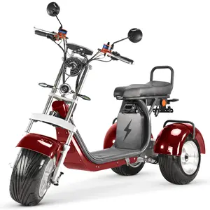 Trike Model CP-7 Flexibele 4000W Dual Sterke Macht Motor 3 Wiel Elektrische Trike Scooter Driewieler Citycoco