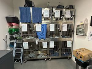 猫狗豪华兽医器械不锈钢宠物笼高品质宠物诊所笼 - Product Image 3