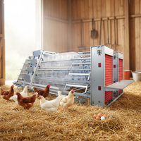 Cage à poulets de chair en A, système de litière profonde, galvanisée, cage en batterie pour volailles de chair, 4 niveaux, 120 oiseaux pour élevage de poulets de chair