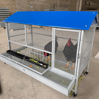 Cage à poules pondeuses galvanisée anti-corrosion avec alimentation automatique pour l'élevage commercial de volailles et la gestion de l'élevage de poules pondeuses
