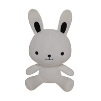 Peluche en forme de lapin tigre blanc à colorier avec des marqueurs lavables, jouet en peluche à peindre pour enfants, cadeau