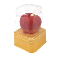 Nouveaux sucettes glacées 3D aux saveurs de fruits (pomme, ananas, fruit du dragon) – Boîte de 75g