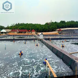 Geomembrane HDPEで販売のためのFactory Price