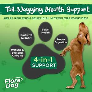 OEM Private Label Chicken & Turkey Flavored Probióticos Soft Chews Gut Saúde Pet Nutrição Suplemento Lanche para Cães - Product Image 6