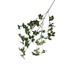 Branche de feuilles de Guanyin artificielles 30cm-100cm en plastique pour décoration intérieure et arrangements de mariage - Product Image 5