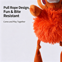 Jouet en peluche pour chien, modèle animal à corps bouclé et poils longs, Panda roux, Ours, Éléphant, doux, à mâcher et couineur, 3 styles, vente en gros, personnalisable