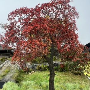 हो n O1:64 स्केल मॉडल ट्री, अल्ट्रा-यथार्थवादी मॉडल ट्री और प्लांट, दृश्य मॉडल लघु ट्री ट्रेन ट्रैक मॉडल सहायक उपकरण - Product Image 1