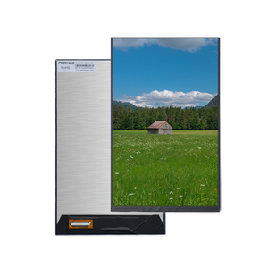 Módulo de Pantalla LCD TFT de 10.1 Pulgadas 800x1280 con Interfaz MIPI, Envío Rápido - Product Image 2